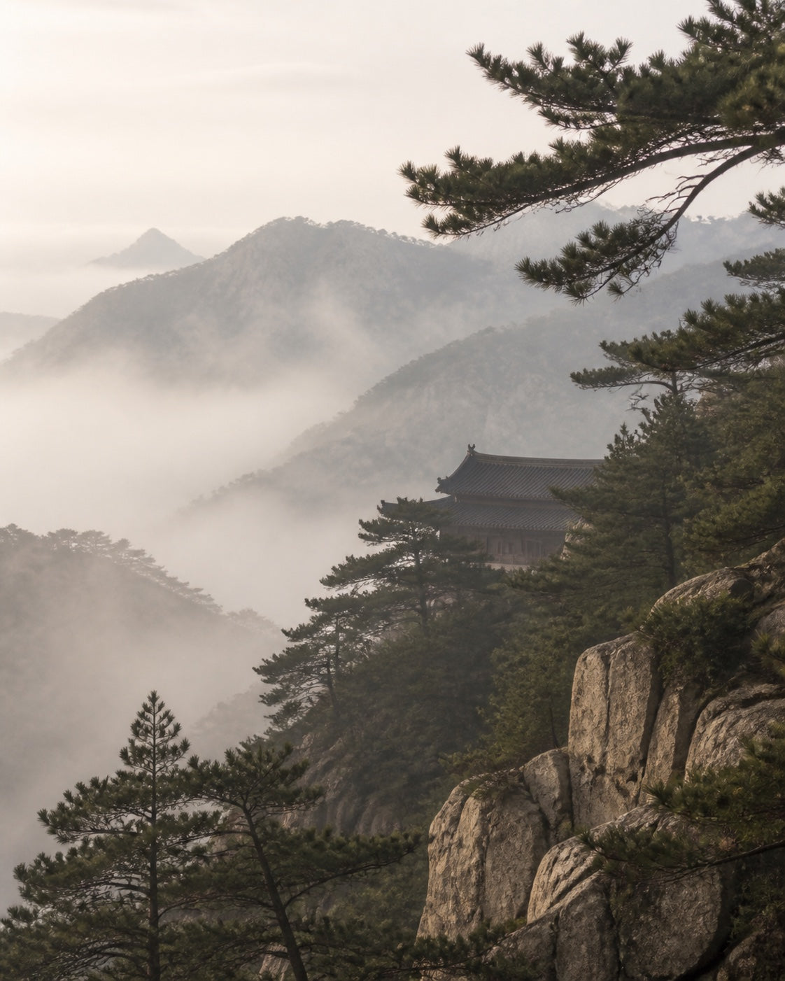 Mist-softened mountain ridges framed by pine branches, with a distant traditional roofline.