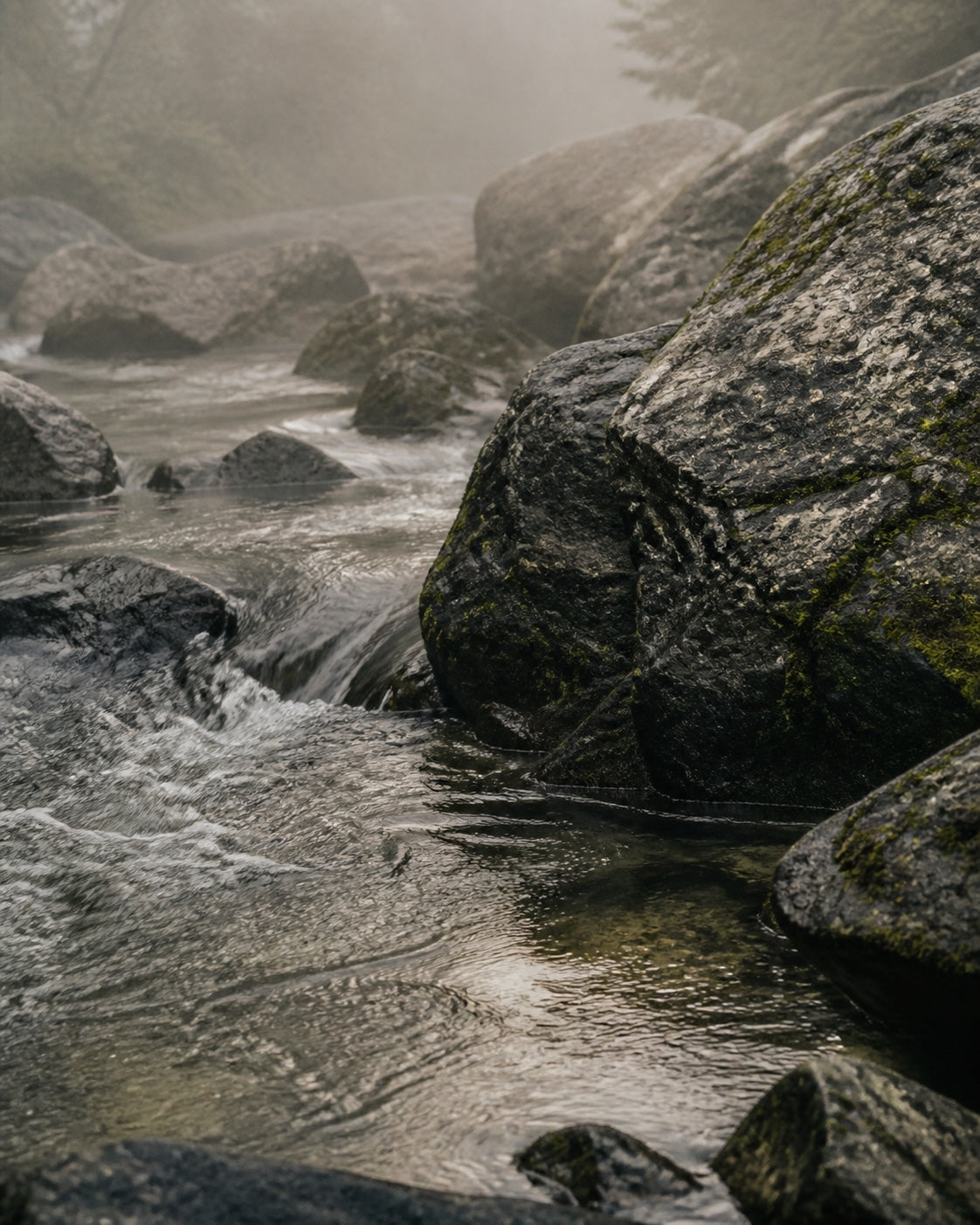 Clear mountain water flowing around dark, weathered stones in soft morning light.